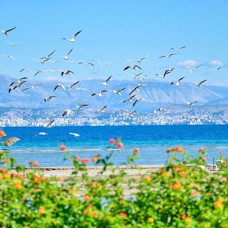Nikos Kalamaki Corfu Apraos Exterior foto